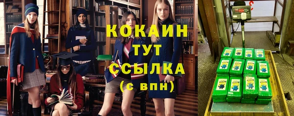 прущие грибы Армянск