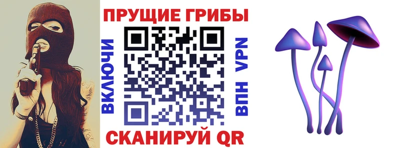 маркетплейс состав  дарнет шоп  Озёры  Псилоцибиновые грибы прущие грибы 